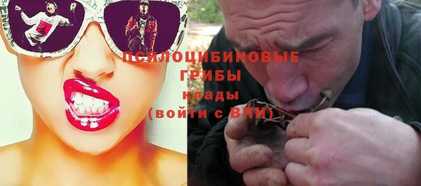 прущая мука Армянск