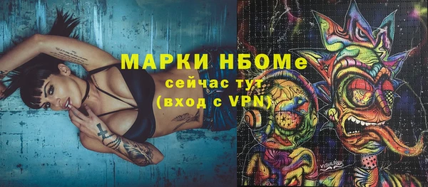стаф Аркадак
