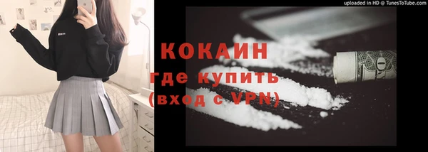 стаф Аркадак
