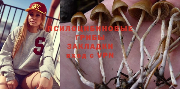 стаф Аркадак