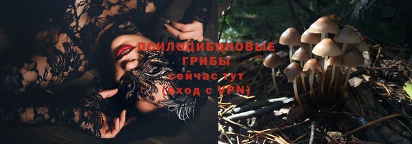 меф Арсеньев